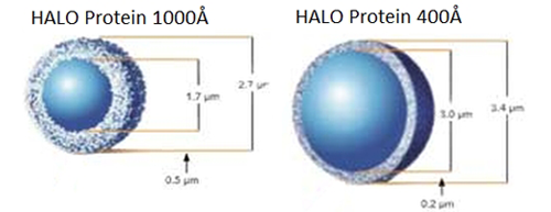 HALO Protein